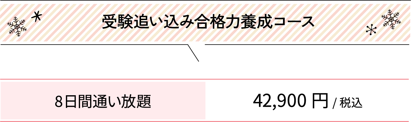 受験追い込み合格力養成コース