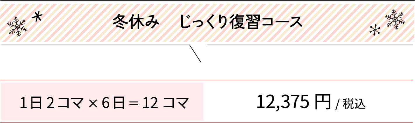 冬休み　じっくり復習コース