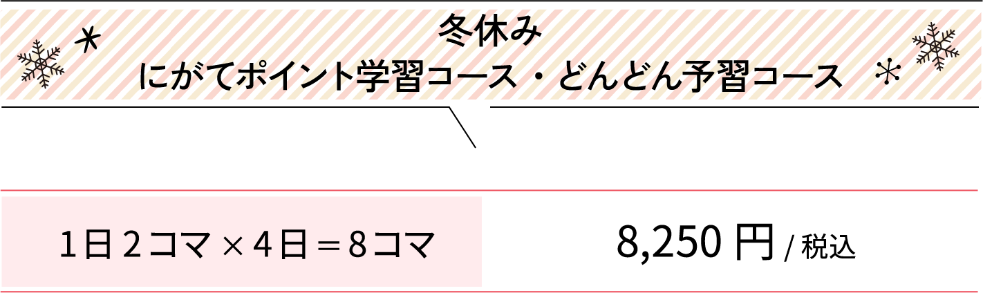 冬休みにがてポイント学習コース・どんどん予習コース